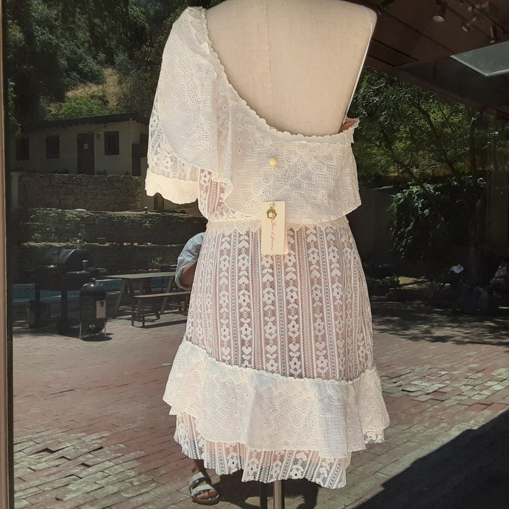 NWOT FOR LOVE & LEMONS LOVEBIRD LACE ONE SHOULDER MINI DRESS - Picture 5 of 6